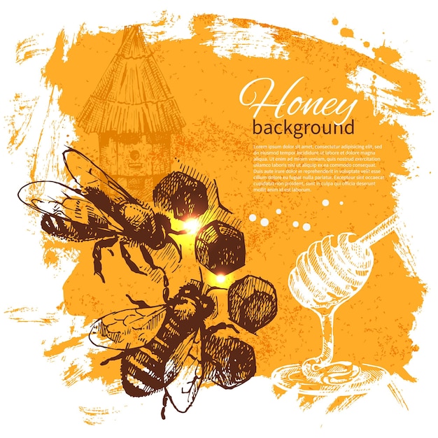 Honey background with hand drawn sketch illustration