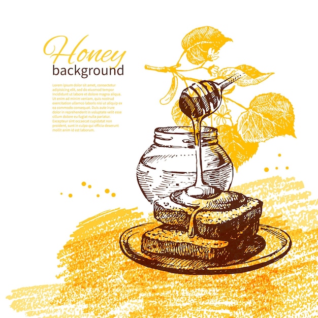 Vector honey background with hand drawn sketch illustration