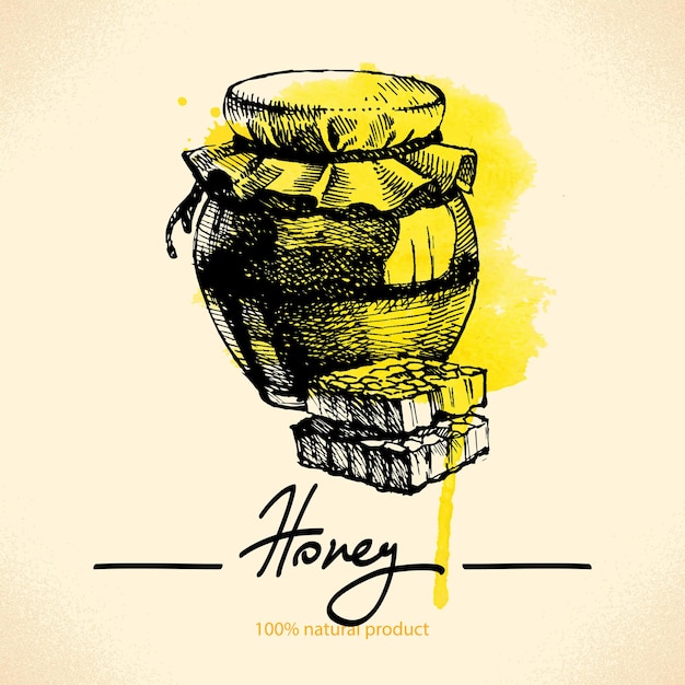 Honey background with hand drawn sketch and watercolor illustration