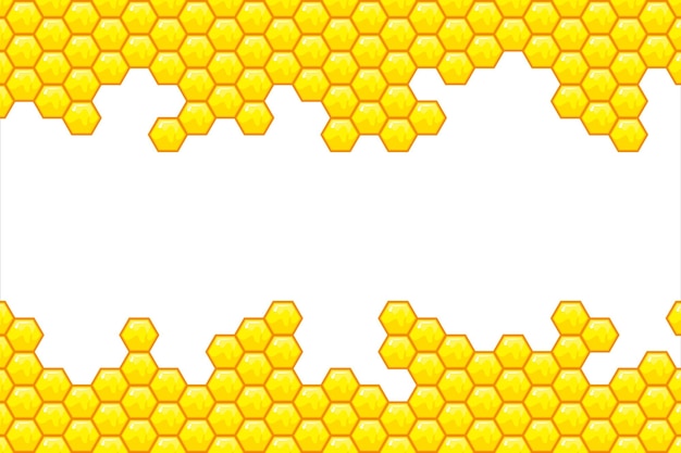 honey and bee background