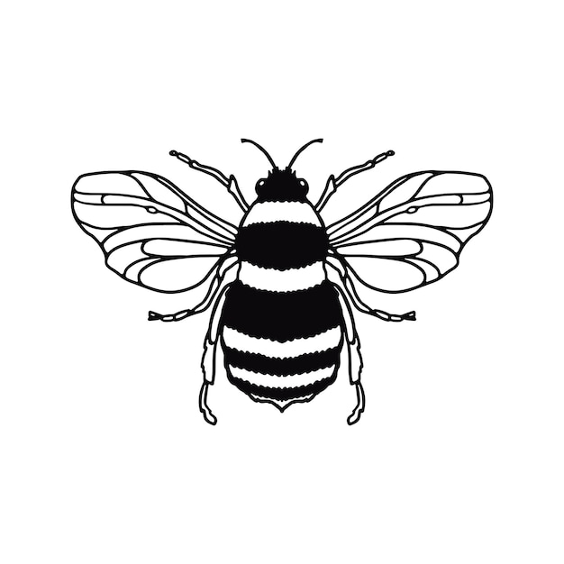 Honey Bee outline doodle isolated on white background Design Mascot Premium Vector