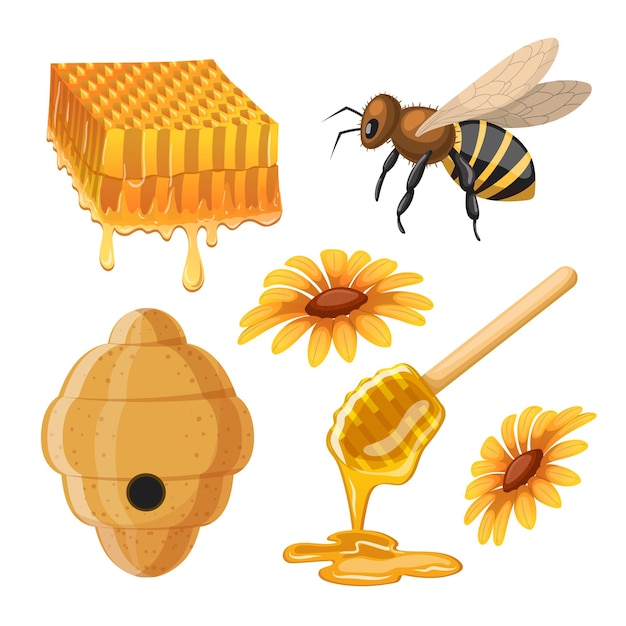 Honey bee set cartoon vector illustration