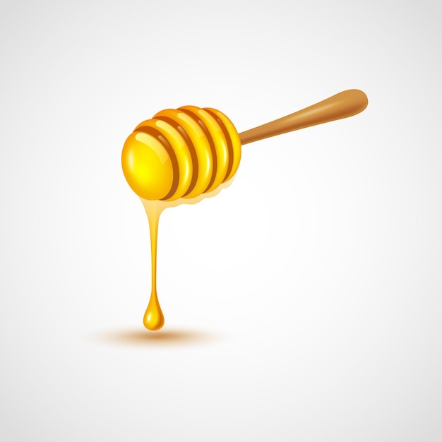 Honey dipper on white background vector illustration