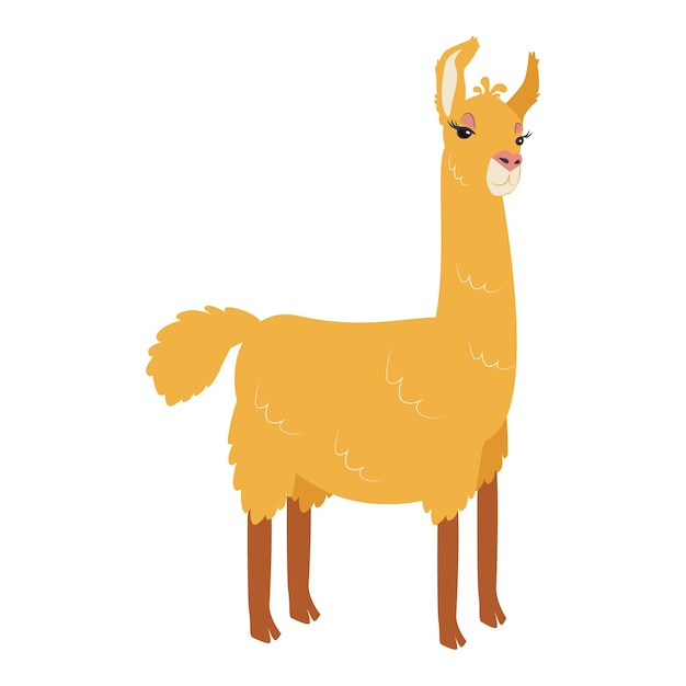 Honey graceful llama Cute animal Hand drawn illustration Isolated on white background