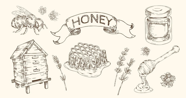 Honey hand drawn set with honeycombs bee jar hive and flowers