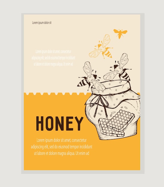 Honey packaging label or sticker design template hand drawn engraving vector