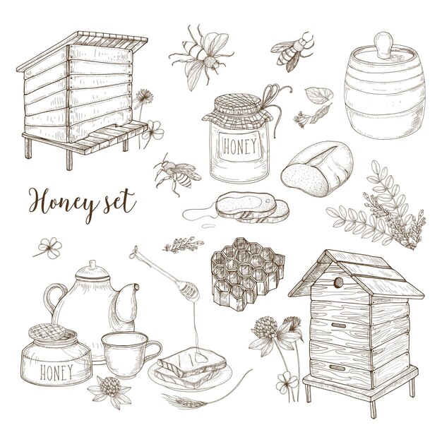 Vector honey production, beekeeping or apiculture set - honeycomb, man-made beehives, wooden dipper, bees, teapot hand drawn in retro style on white background. monochrome vector illustration.