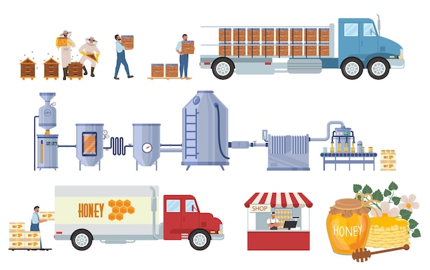 Honey production vector infographic harvest factory processing line distribution sale consumption fo...