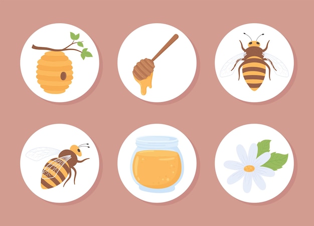 Honey round icons