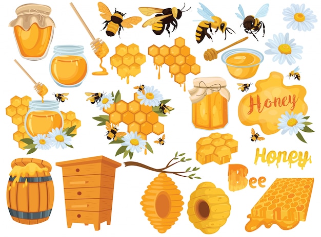 Honey set. Collection of beekeeping. Illustration of beehive, bees and honeycombs.