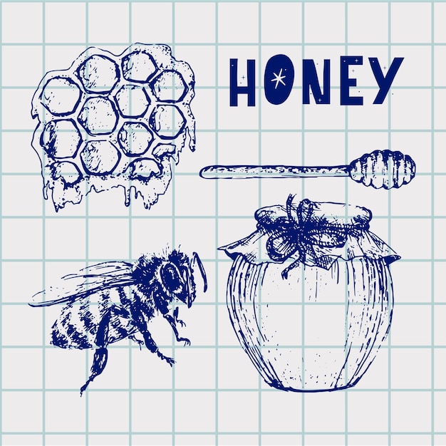   honey set. Vintage hand drawn illustration. Engraved organic food