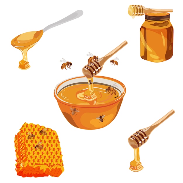 Honey vector with bowl