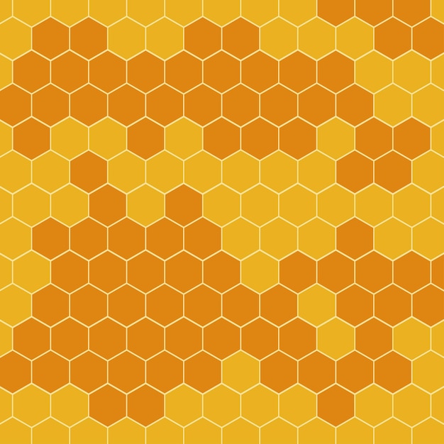 Honeycomb vector background Bee comb pattern