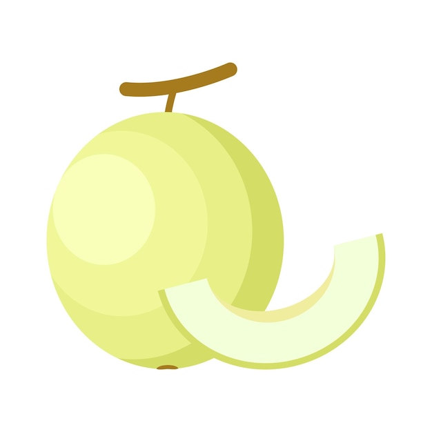 Honeydew Melon Flat design vector illustration isolated on a white background