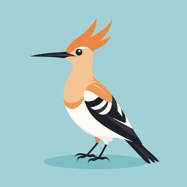 Hoopoe cartoon bird illustration vector art drawing for children