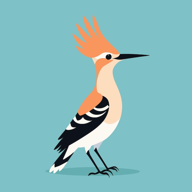 Hoopoe cartoon bird illustration vector art drawing for children