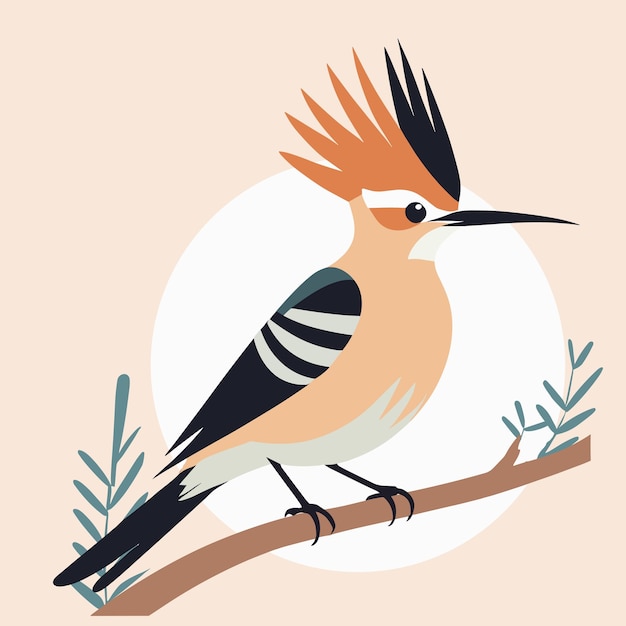 Hoopoe cartoon bird illustration vector art drawing for children