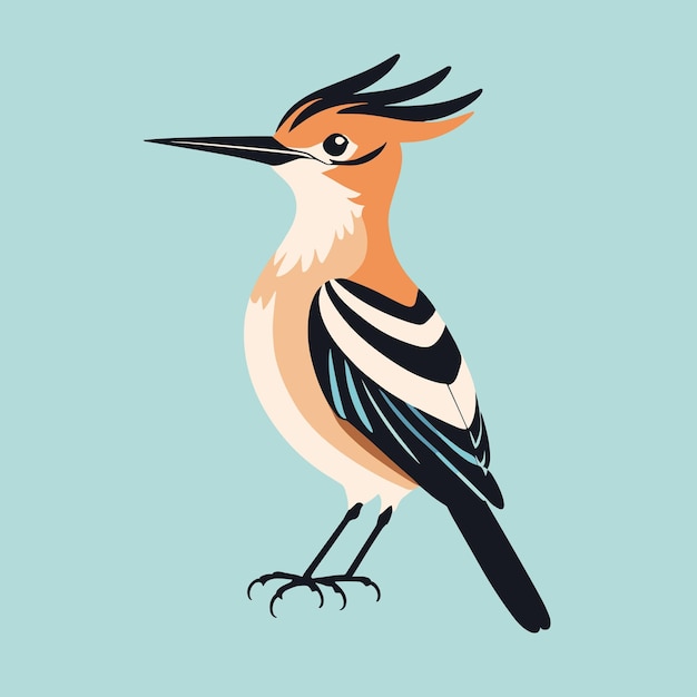 Hoopoe cartoon bird illustration vector art drawing for children