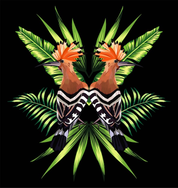 Hoopoe and tropical leaves mirror reflection