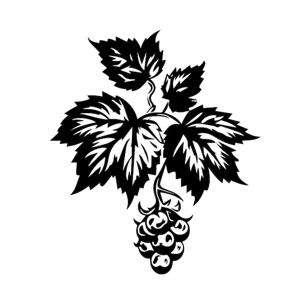 hops leaf black and white vector template set for cutting and printing