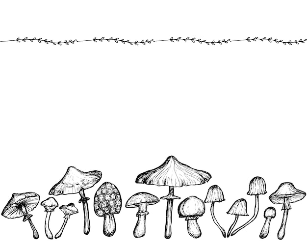 Horizontal border of Mushrooms sketch with delicate Floral border Hand drawn Harvest