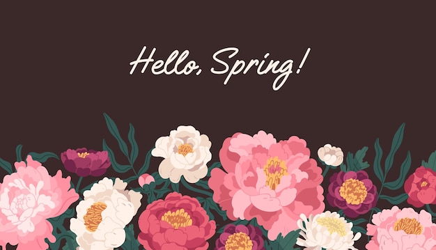 Horizontal floral backdrop with border of delicate blossomed spring peonies flowers and Hello Spring inscription. Botanical flat vector illustration isolated on dark background.