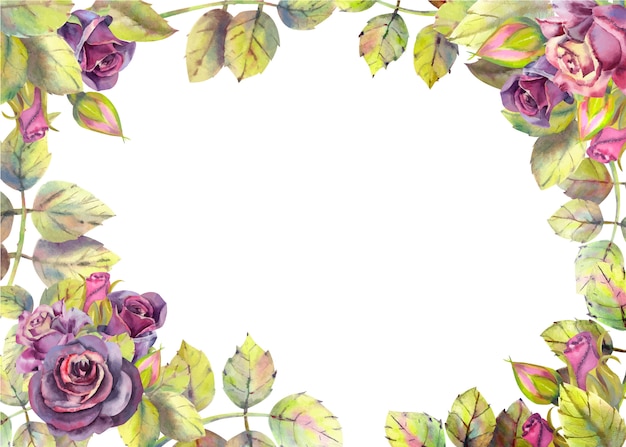 Horizontal frame background with rose flowers. Watercolor composition