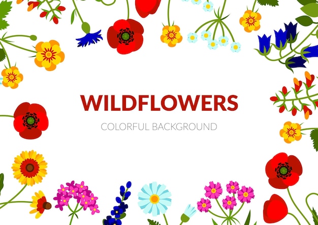 Horizontal summer banner with wildflowers