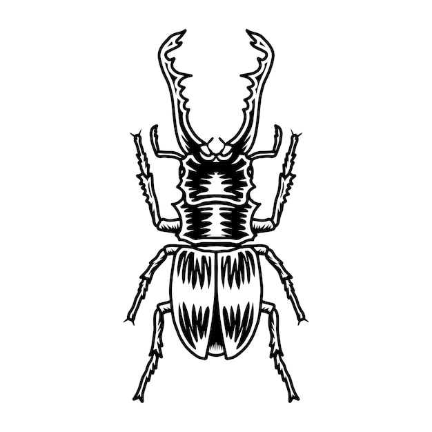 Horn Beetle Vector