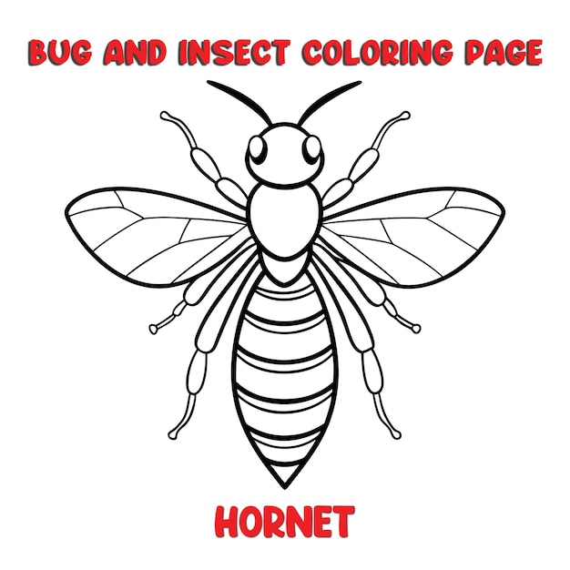 HORNET coloring page for a children bugs coloring book