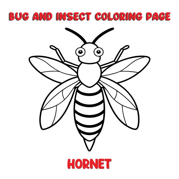 HORNET coloring page for a children bugs coloring book