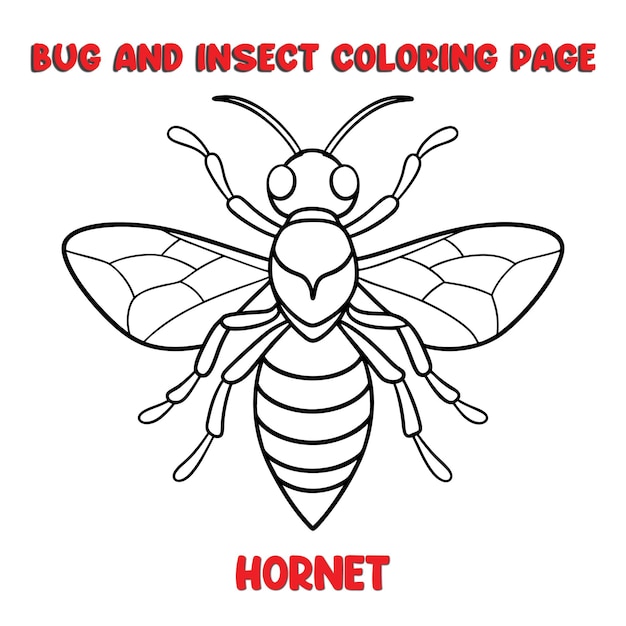 HORNET coloring page for a children bugs coloring book