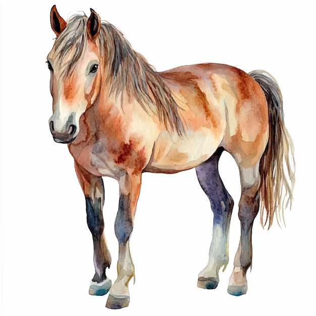 Horse cute watercolor clipart illustration isolated