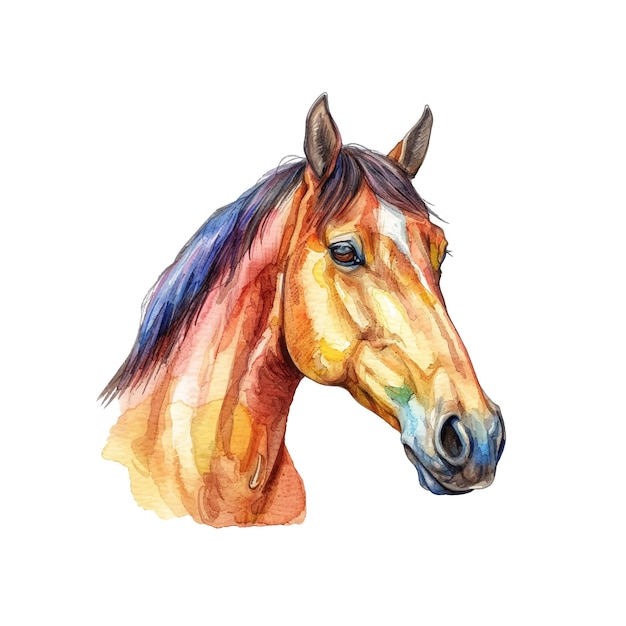 Vector horse head vector illustration in watercolor style