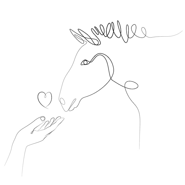 Horse muzzle and female hand line drawing isolated from background Friendship between human and animal trust