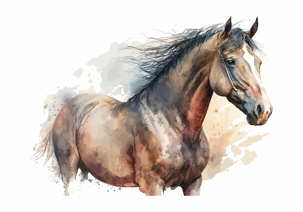 Horse portrait Watercolor hand drawn illustration isolated on white background