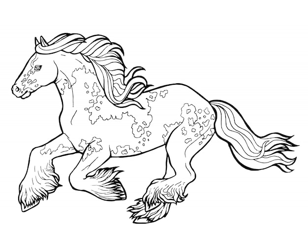 Horse runs trot. Coloring book. The horse runs trot. Coloring book. Tinker is a thoroughbred horse.