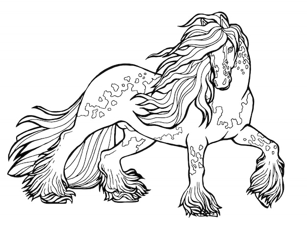 Horse runs trot. Coloring book. The horse runs trot. Coloring book. Tinker is a thoroughbred horse.