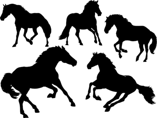 Horse Silhouette Multiple Poses