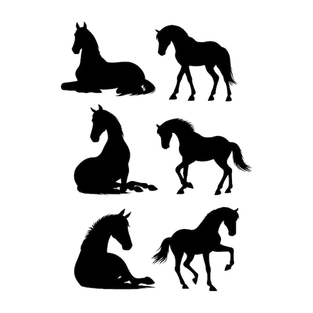 Vector horse silhouette vector illustration of a cute horse set silhouette