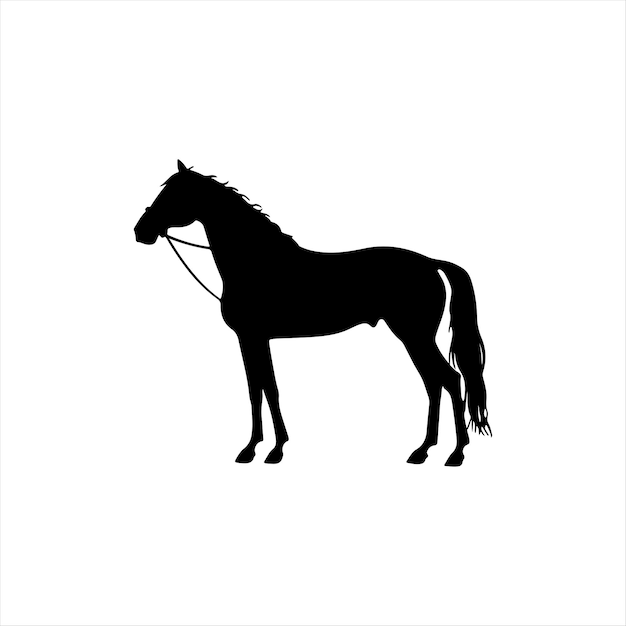 horse silhouette