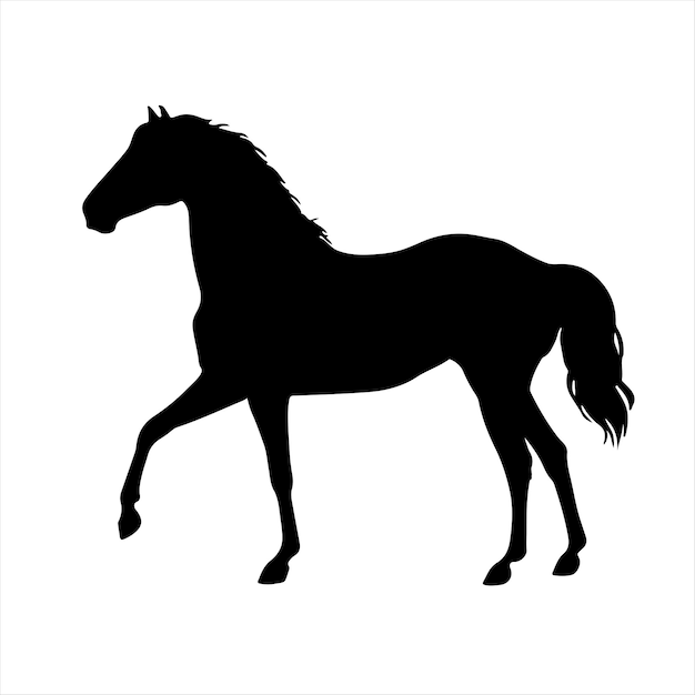 horse silhouette