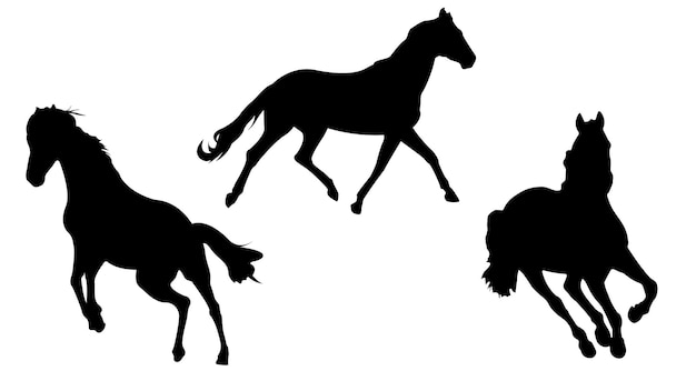 Horse Silhouettes