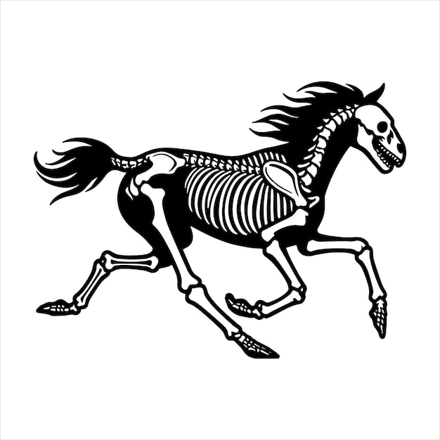 a horse with a skeleton drawing that says quot skeleton quot