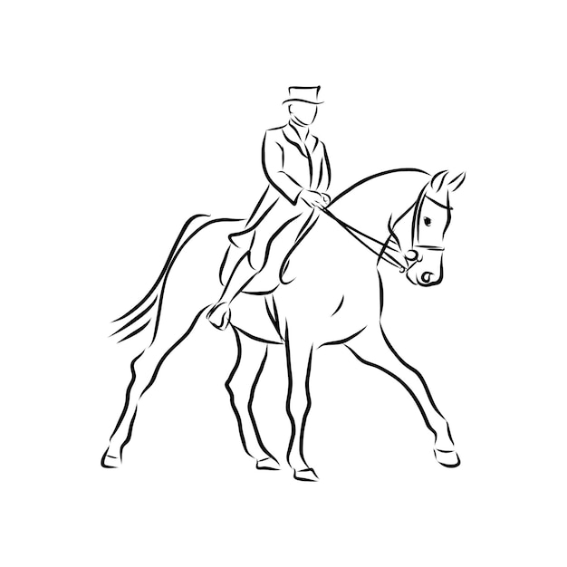 Horseback riding, horsemanship, sport contour vector illustration