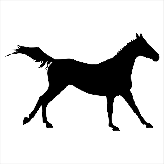 Horses silhouette vector illustration