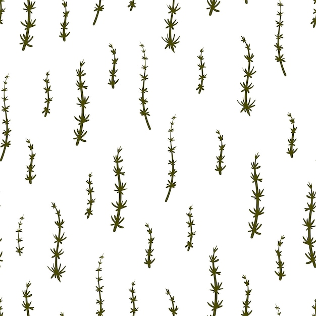 Horsetail medicinal plant seamless vector botanical pattern Equisetum plant and escape texture