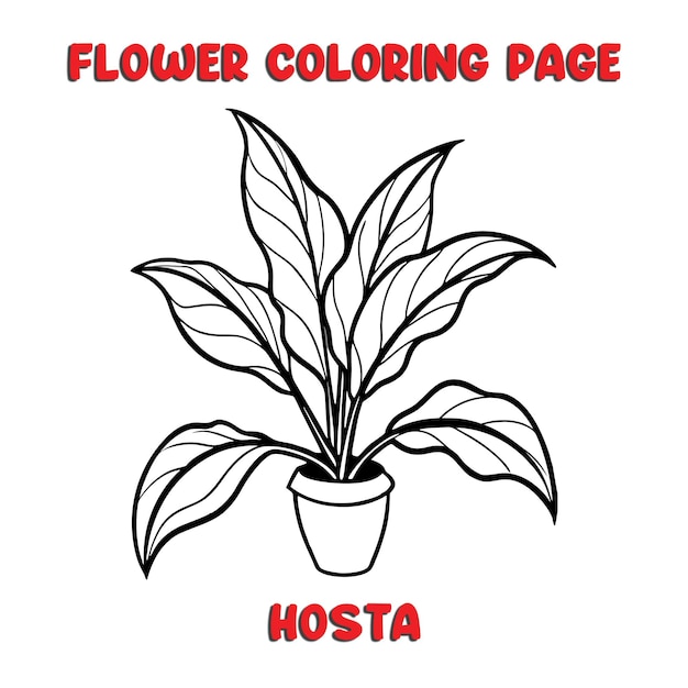 HOSTA flowers coloring book for kids