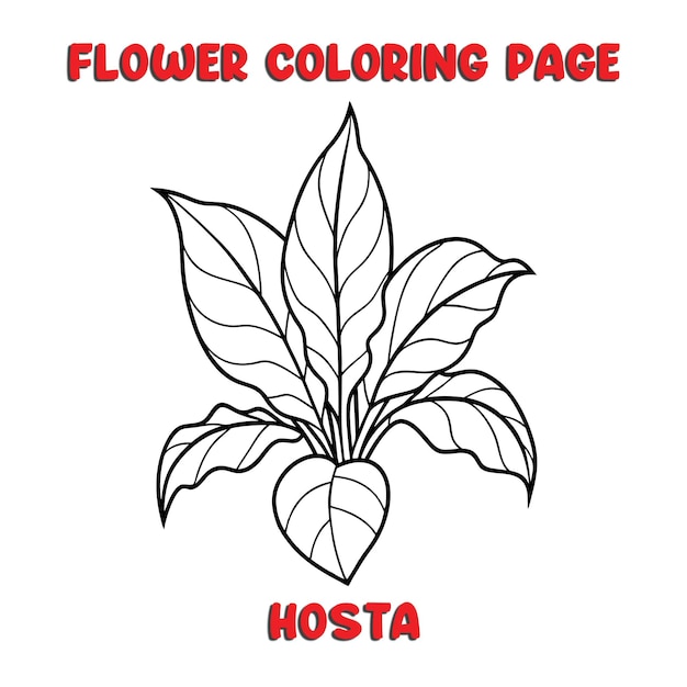 HOSTA flowers coloring book for kids