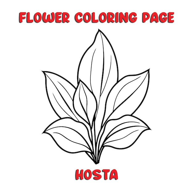 HOSTA flowers coloring book for kids